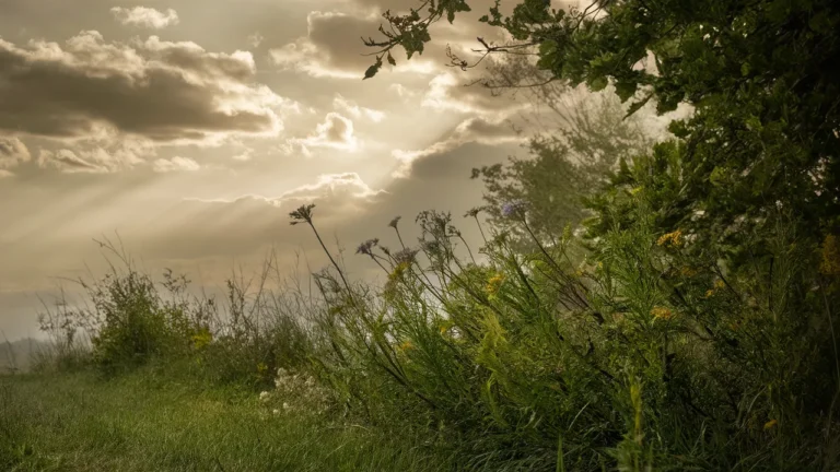 Clima de Hoy: Complete Guide to Today’s Weather Forecast and Conditions Clima de Hoy